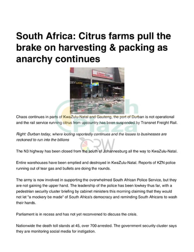 Citrus farms pull the brake on harvesting packing as anarchy continues
