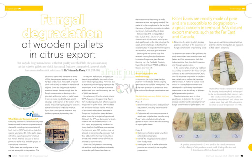 Fungal degradation of wooden pallets in citrus export