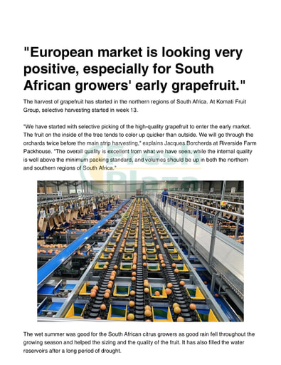European market looking positive, especially for South African growers'...