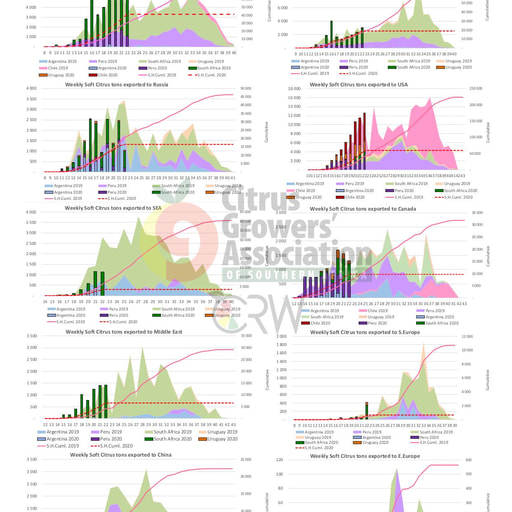 SHAFFE Summary - Soft citrus
