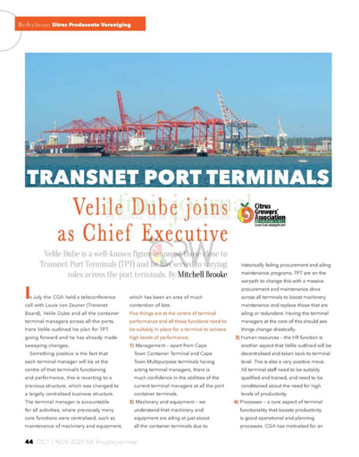 Transnet Port Terminals Velile Dube joins as Chief Executive