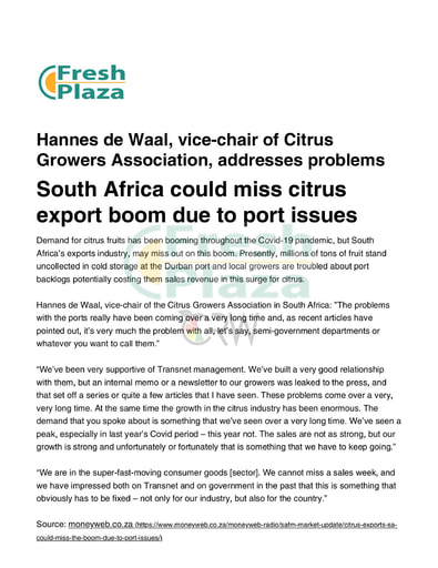 South Africa could miss citrus export boom due to port issues