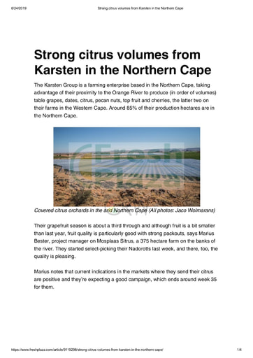 Strong citrus volumes from Karsten in the Northern Cape