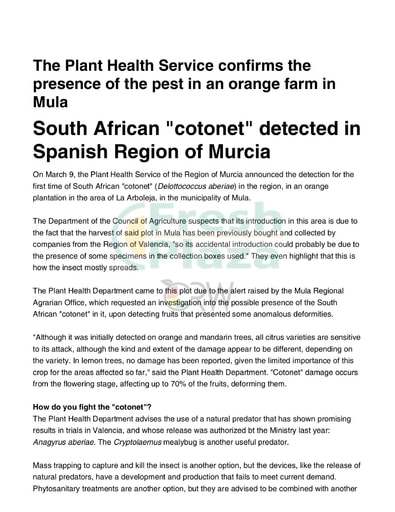 South African "cotonet" detected in Spanish Region of Murcia