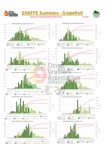 SHAFFE Summary - Grapefruit