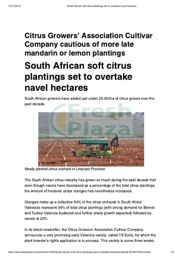South African soft citrus plantings set to overtake navel hectares
