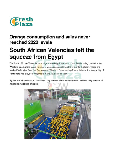 South African Valencias felt the squeeze from Egypt