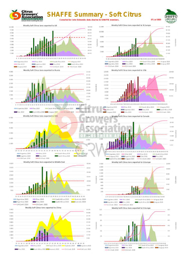 SHAFFE Summary - Soft citrus