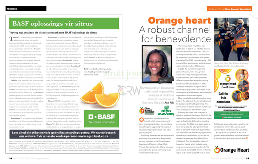 Orange Heart