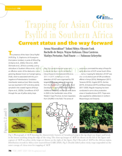 Trapping for Asian Citrus Psyllid in SA