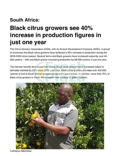 Black citrus growers see 40% increase in production figures in just one year