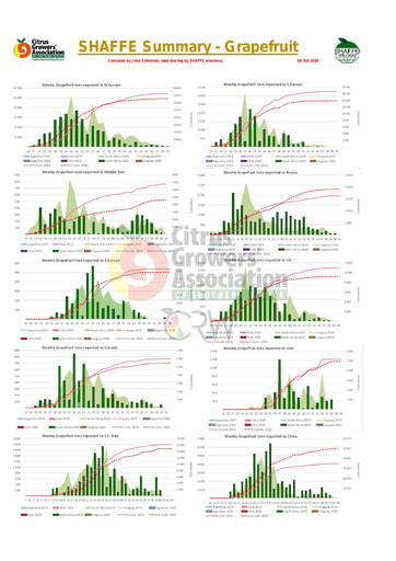 SHAFFE Summary - Grapefruit