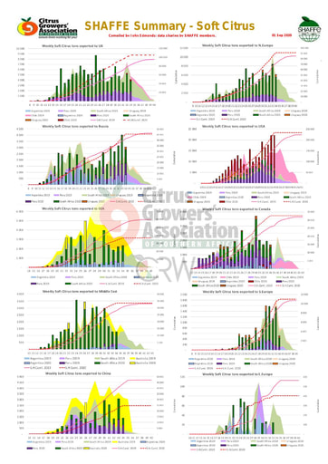 SHAFFE Summary - Soft citrus