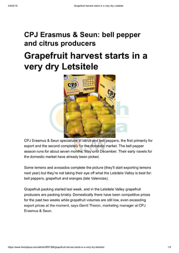 Grapefruit harvest starts in a very dry Letsitele