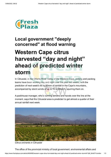 Western Cape citrus harvested "day and night" ahead of predicted winter storm