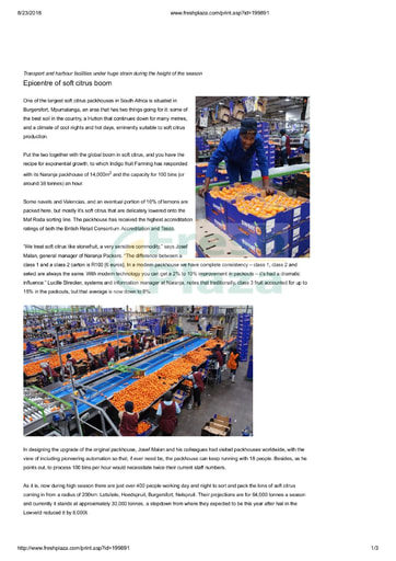 Epicentre of soft citrus boom