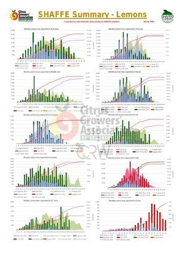 SHAFFE Summary Graphs - Lemons