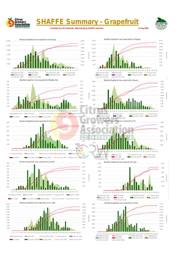 SHAFFE Summary - Grapefruit