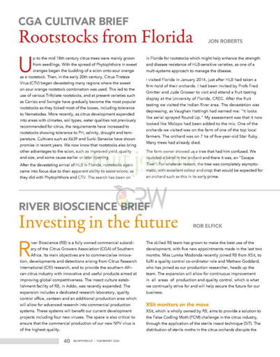 Rootstocks from Florida