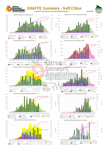 SHAFFE Summary - Soft citrus