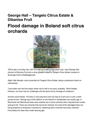 Flood damage in Boland soft citrus orchards