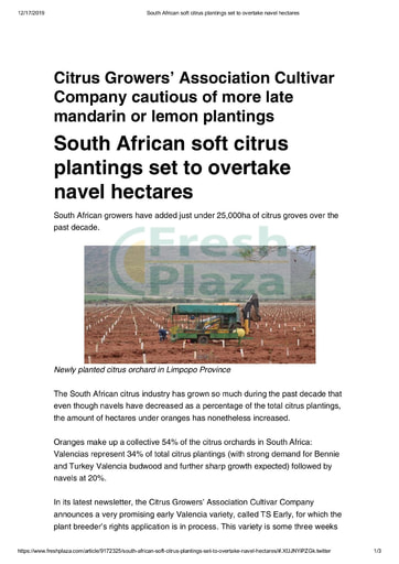 South African soft citrus plantings set to overtake navel hectares