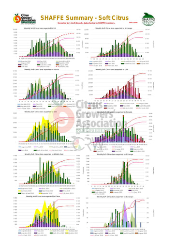 SHAFFE Summary - Soft citrus