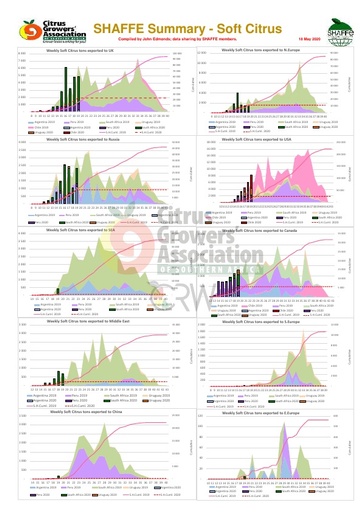 SHAFFE Summary - Soft citrus
