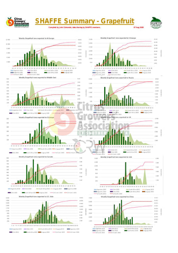SHAFFE Summary - Grapefruit