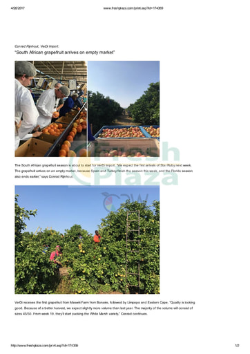 South African grapefruit arrives on empty market